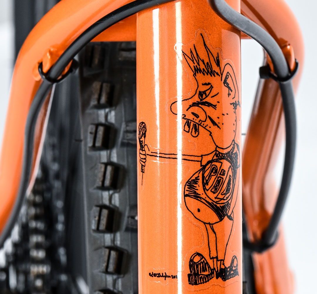 Ionic Bikes Johnny Rotten Hardtail bike frame
